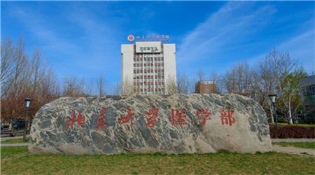 1577946880307289.jpg 新华礼伊培训.jpg